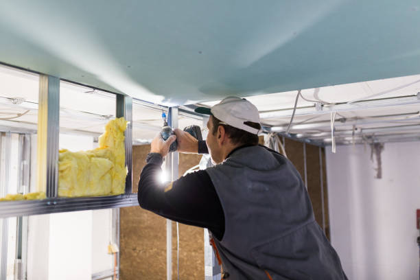 Best Attic Insulation Installation  in Williams, AZ