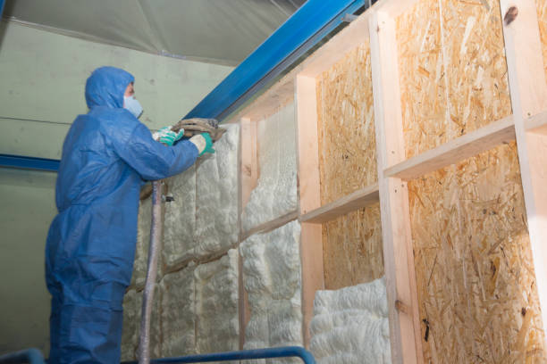 Attic Insulation Near Me in Williams, AZ
